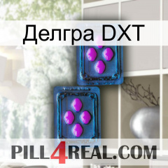 Делгра DXT 03